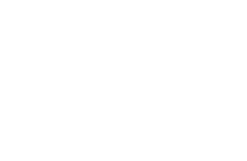 MoneyFLOW
