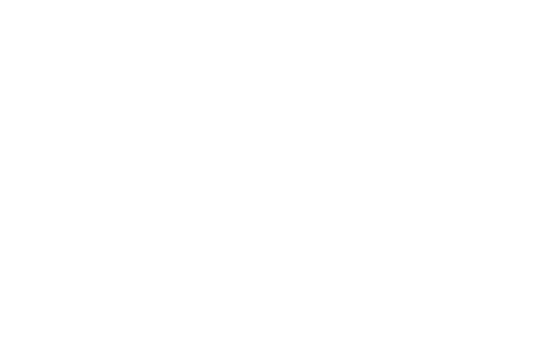 Insurgate
