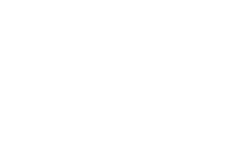 Swinz
